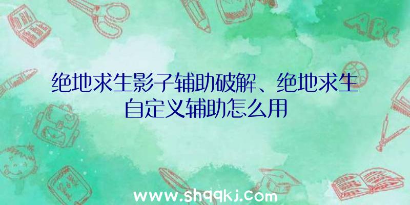 绝地求生影子辅助破解、绝地求生自定义辅助怎么用