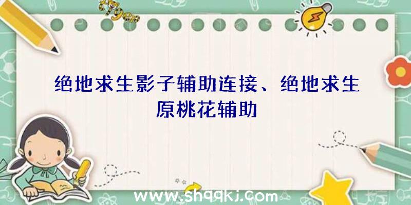 绝地求生影子辅助连接、绝地求生原桃花辅助