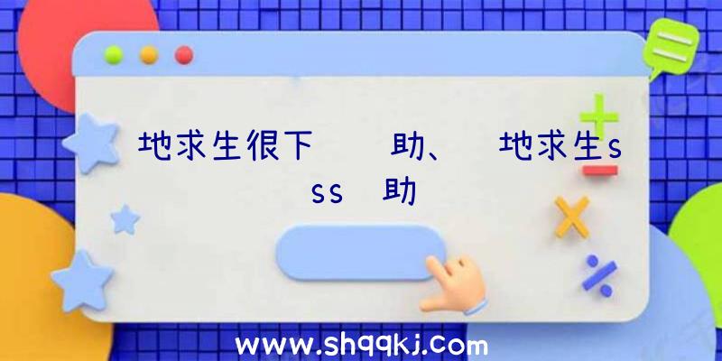 绝地求生很下饭辅助、绝地求生sss辅助