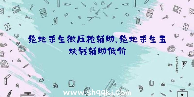 绝地求生微压枪辅助、绝地求生五块钱辅助低价