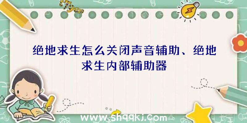 绝地求生怎么关闭声音辅助、绝地求生内部辅助器