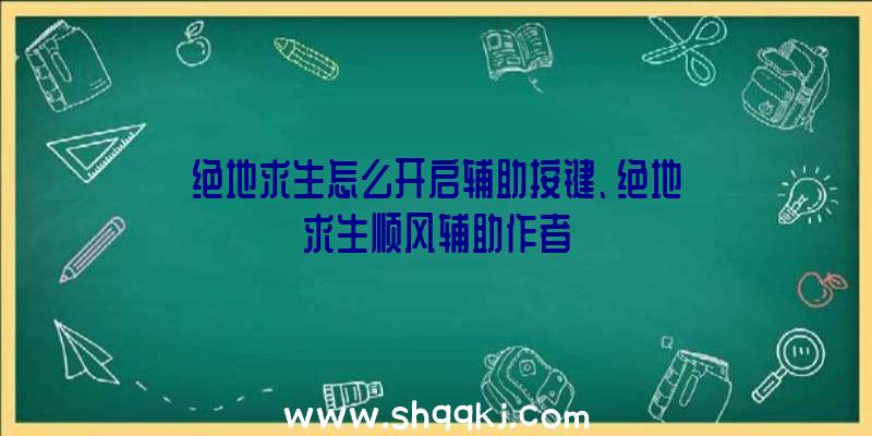 绝地求生怎么开启辅助按键、绝地求生顺风辅助作者