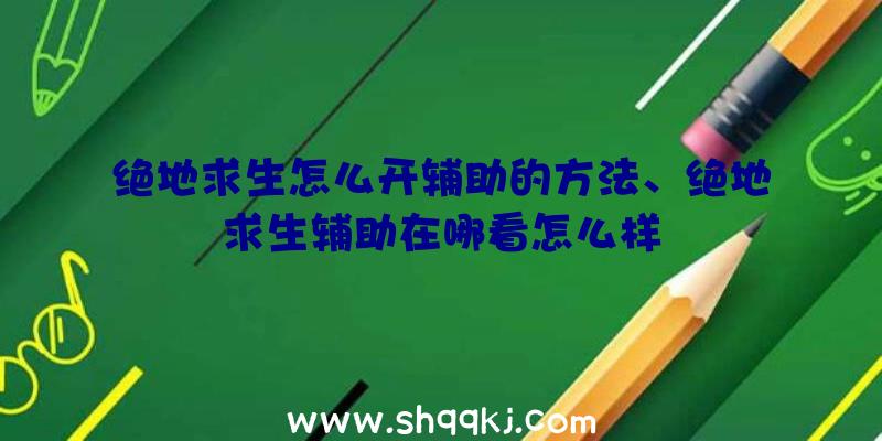 绝地求生怎么开辅助的方法、绝地求生辅助在哪看怎么样