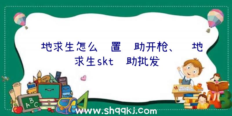 绝地求生怎么设置辅助开枪、绝地求生skt辅助批发