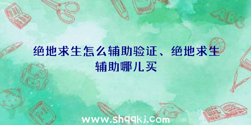 绝地求生怎么辅助验证、绝地求生辅助哪儿买