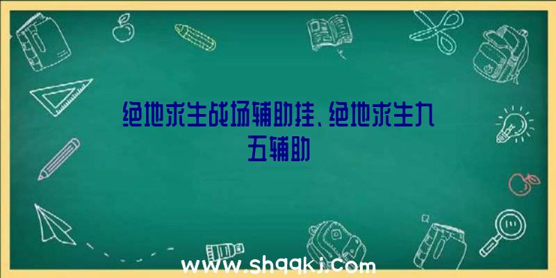 绝地求生战场辅助挂、绝地求生九五辅助