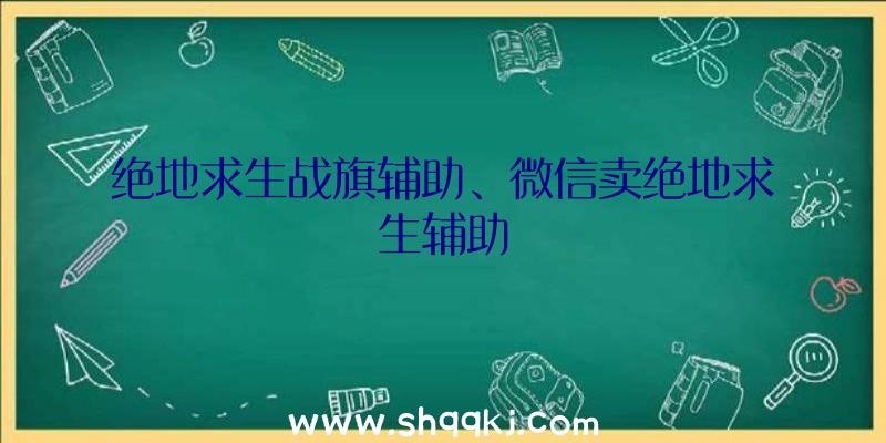 绝地求生战旗辅助、微信卖绝地求生辅助