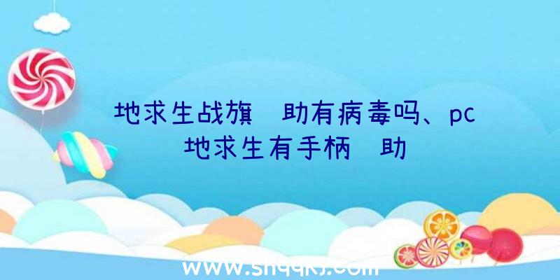 绝地求生战旗辅助有病毒吗、pc绝地求生有手柄辅助