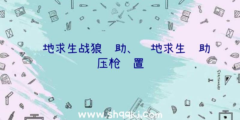 绝地求生战狼辅助、绝地求生辅助压枪设置