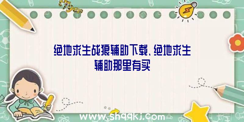 绝地求生战狼辅助下载、绝地求生辅助那里有买