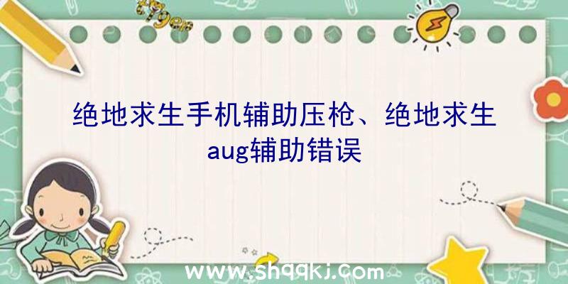 绝地求生手机辅助压枪、绝地求生aug辅助错误