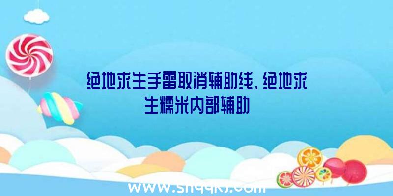 绝地求生手雷取消辅助线、绝地求生糯米内部辅助