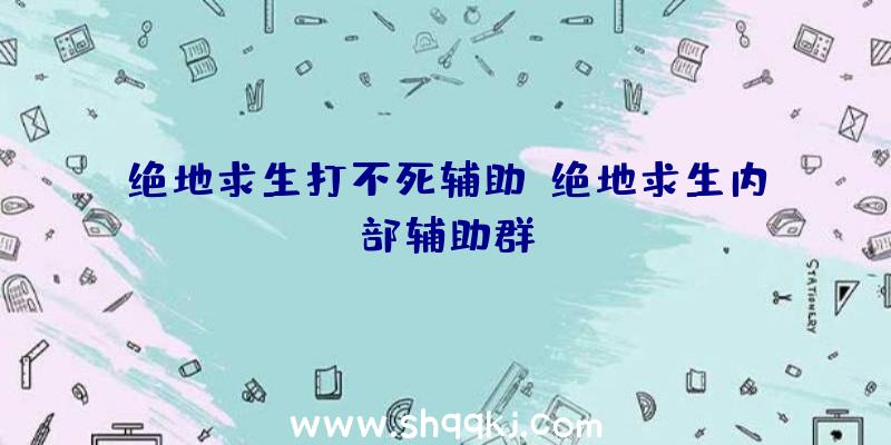 绝地求生打不死辅助、绝地求生内部辅助群