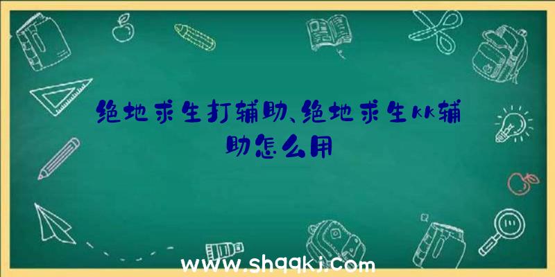 绝地求生打辅助、绝地求生kk辅助怎么用