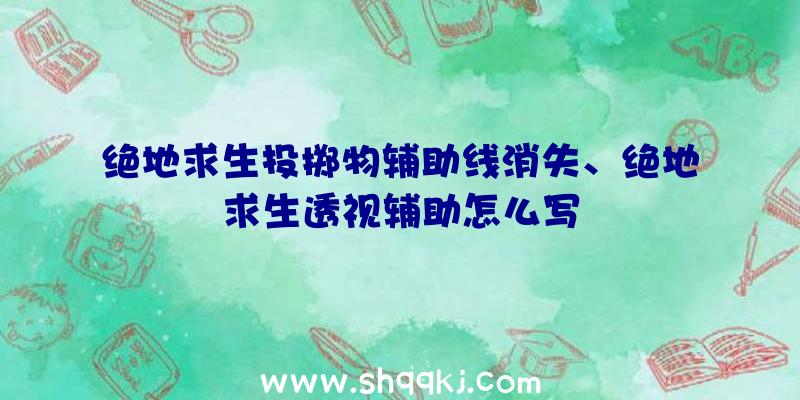 绝地求生投掷物辅助线消失、绝地求生透视辅助怎么写