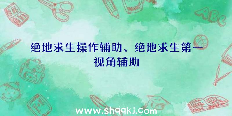 绝地求生操作辅助、绝地求生第一视角辅助