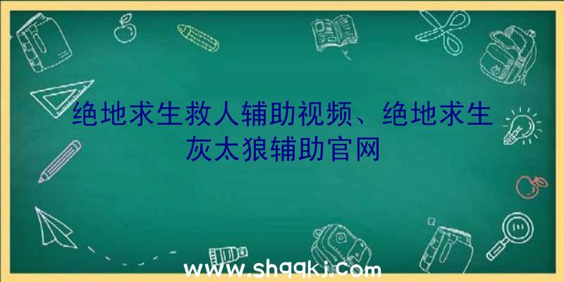 绝地求生救人辅助视频、绝地求生灰太狼辅助官网