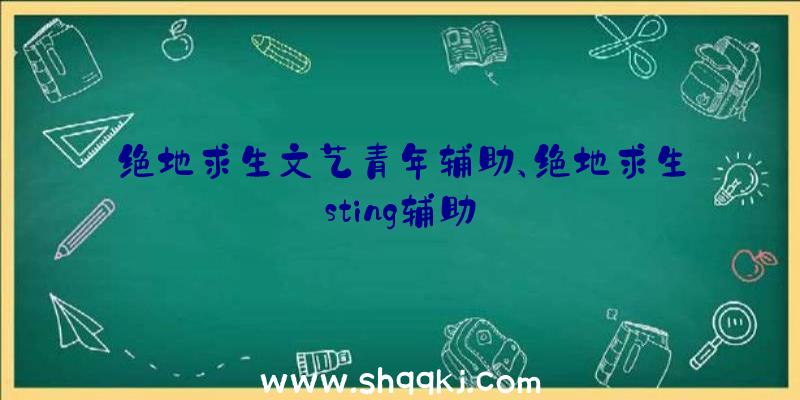 绝地求生文艺青年辅助、绝地求生sting辅助