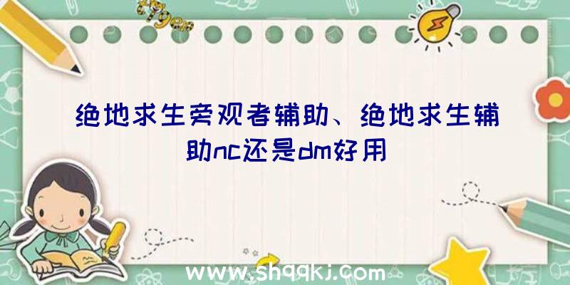 绝地求生旁观者辅助、绝地求生辅助nc还是dm好用