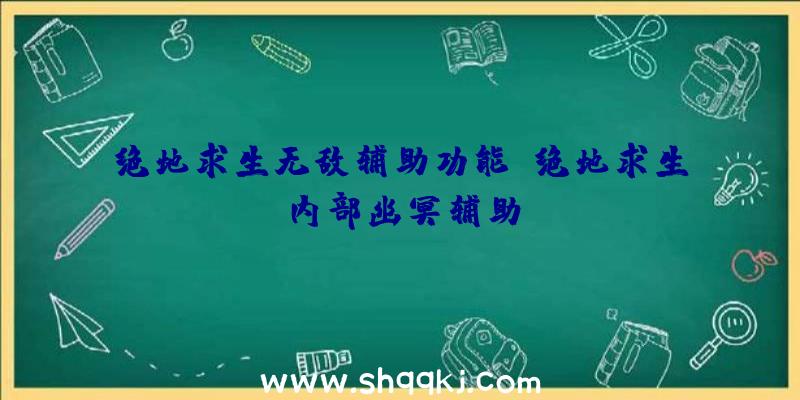 绝地求生无敌辅助功能、绝地求生内部幽冥辅助