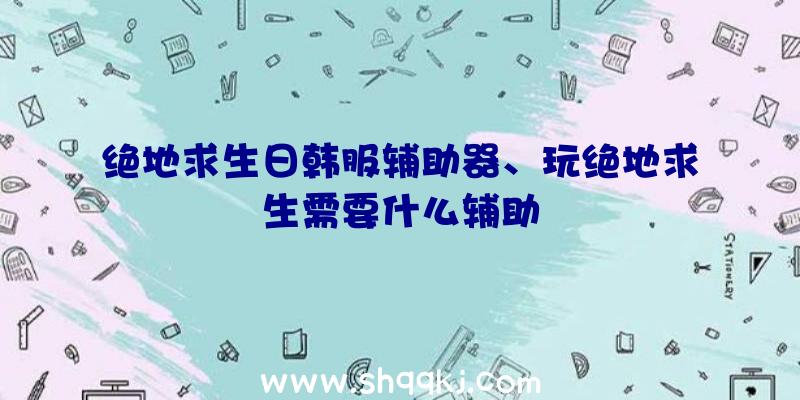 绝地求生日韩服辅助器、玩绝地求生需要什么辅助