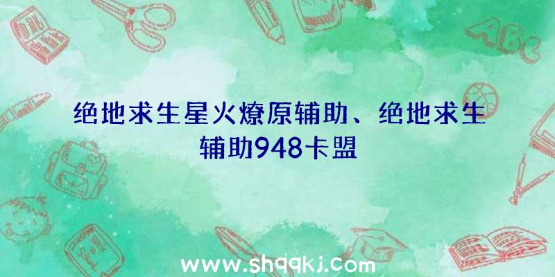 绝地求生星火燎原辅助、绝地求生辅助948卡盟