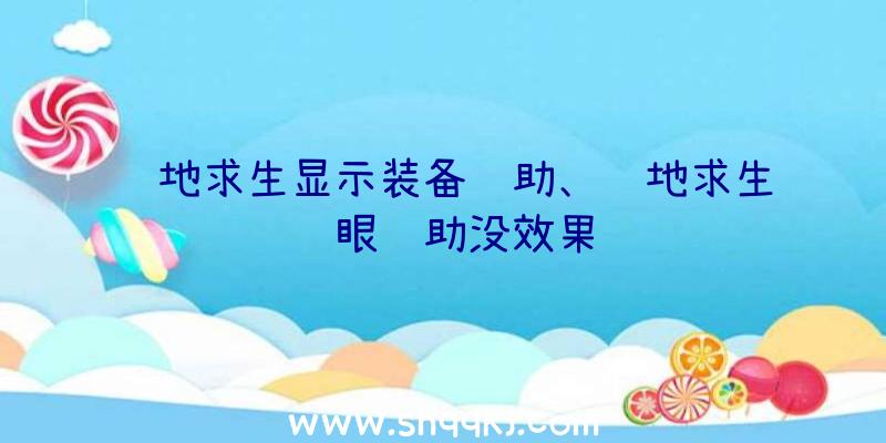 绝地求生显示装备辅助、绝地求生鹰眼辅助没效果