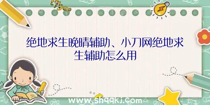 绝地求生晚晴辅助、小刀网绝地求生辅助怎么用