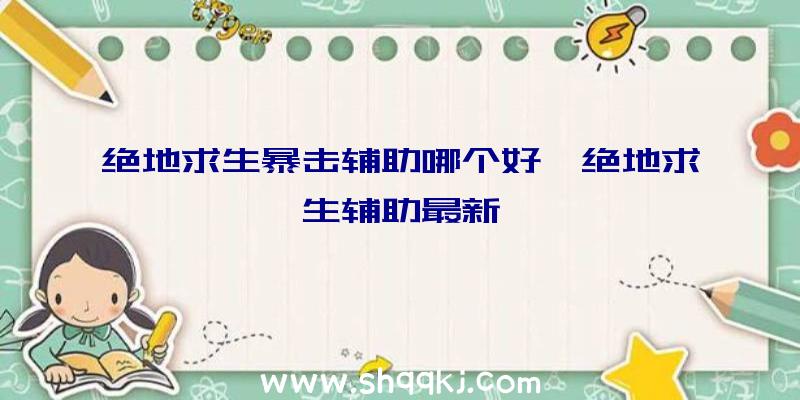 绝地求生暴击辅助哪个好、绝地求生辅助最新