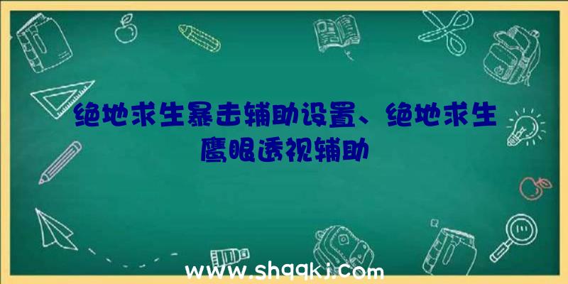 绝地求生暴击辅助设置、绝地求生鹰眼透视辅助