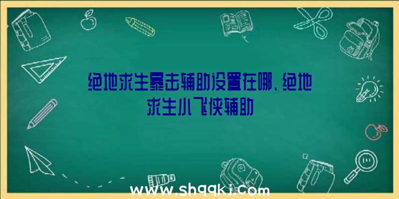 绝地求生暴击辅助设置在哪、绝地求生小飞侠辅助