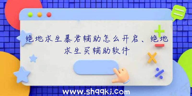 绝地求生暴君辅助怎么开启、绝地求生买辅助软件