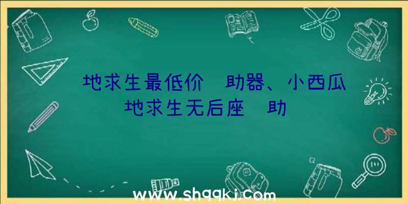 绝地求生最低价辅助器、小西瓜绝地求生无后座辅助