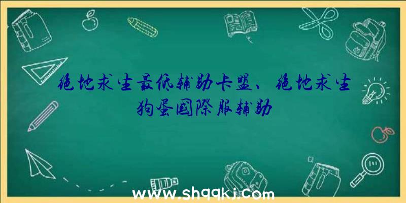 绝地求生最低辅助卡盟、绝地求生狗蛋国际服辅助