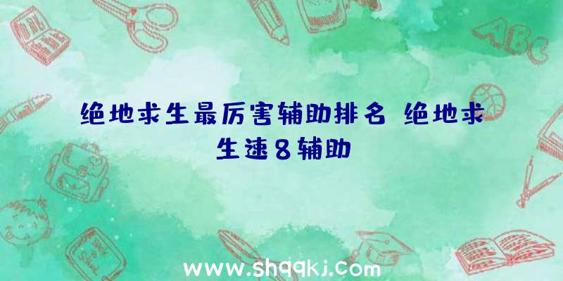 绝地求生最厉害辅助排名、绝地求生速8辅助