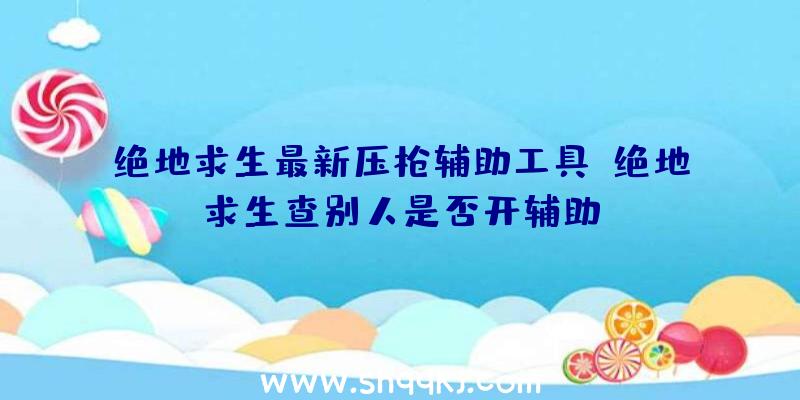 绝地求生最新压枪辅助工具、绝地求生查别人是否开辅助