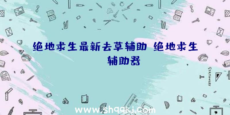 绝地求生最新去草辅助、绝地求生iso辅助器