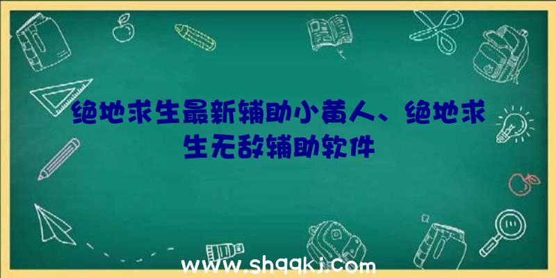 绝地求生最新辅助小黄人、绝地求生无敌辅助软件