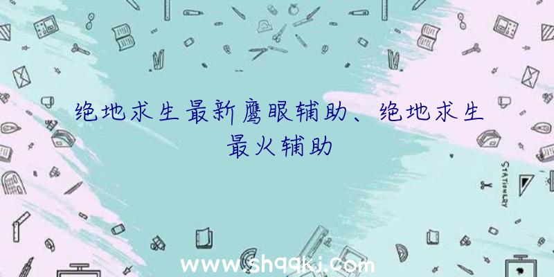 绝地求生最新鹰眼辅助、绝地求生最火辅助