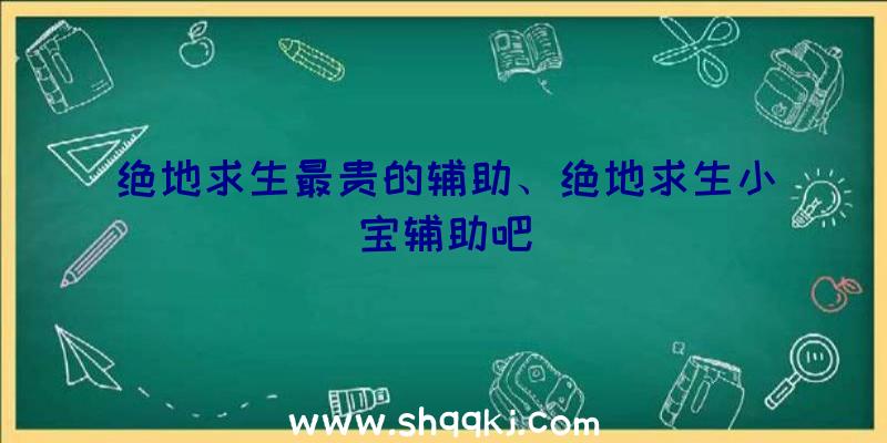 绝地求生最贵的辅助、绝地求生小宝辅助吧