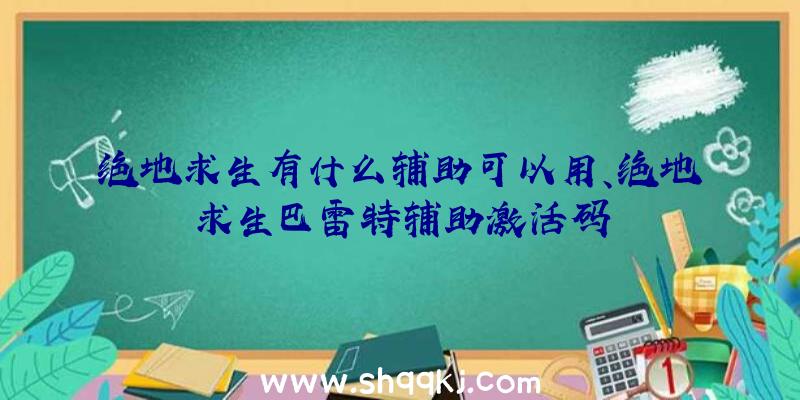 绝地求生有什么辅助可以用、绝地求生巴雷特辅助激活码