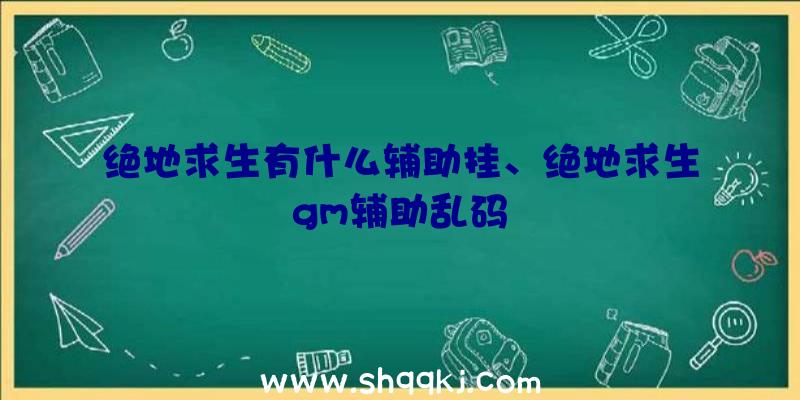 绝地求生有什么辅助挂、绝地求生gm辅助乱码