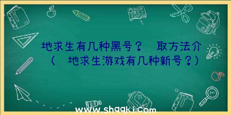 绝地求生有几种黑号？获取方法介绍（绝地求生游戏有几种新号？）