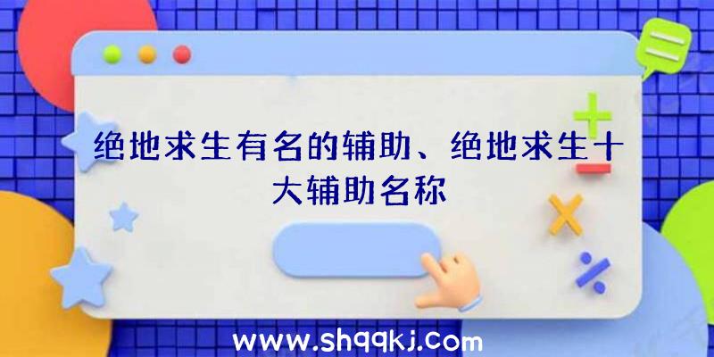 绝地求生有名的辅助、绝地求生十大辅助名称