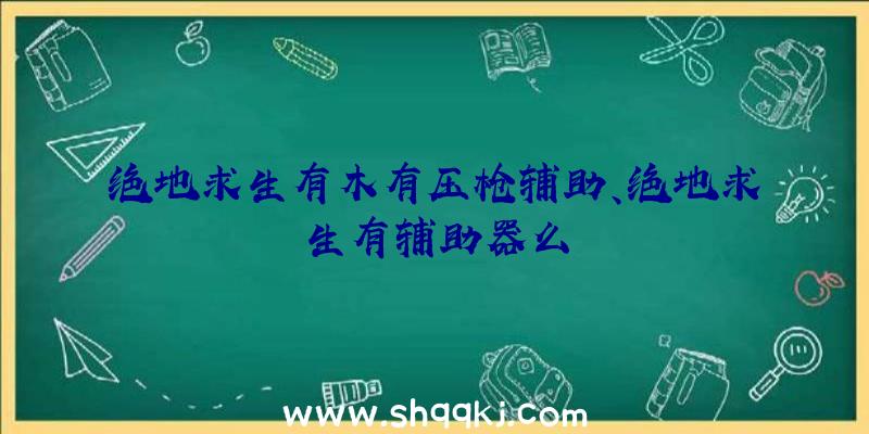 绝地求生有木有压枪辅助、绝地求生有辅助器么