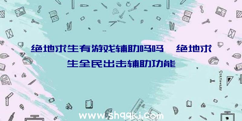 绝地求生有游戏辅助吗吗、绝地求生全民出击辅助功能