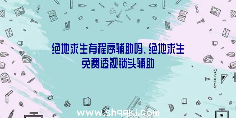 绝地求生有程序辅助吗、绝地求生免费透视锁头辅助