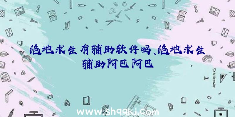 绝地求生有辅助软件吗、绝地求生辅助阿巴阿巴