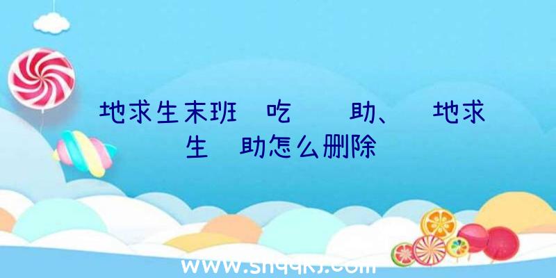 绝地求生末班车吃鸡辅助、绝地求生辅助怎么删除