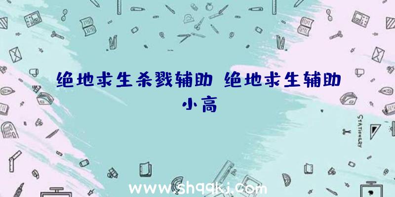 绝地求生杀戮辅助、绝地求生辅助小高